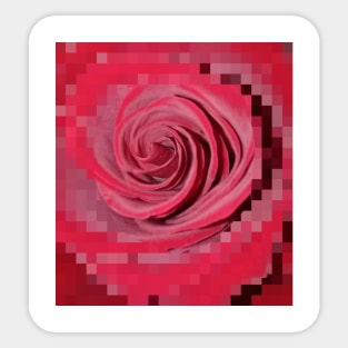 Red Rose Sticker